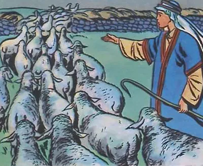 Search result for The Lost Sheep